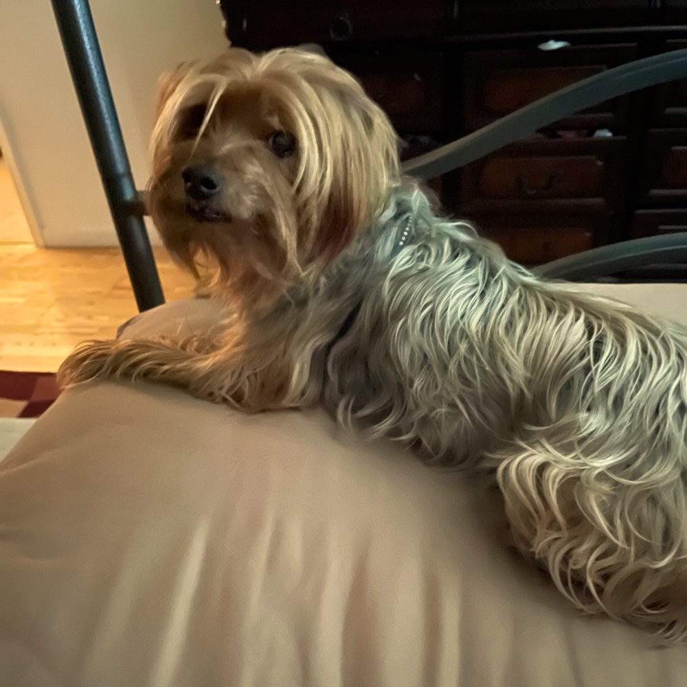 Meet your Posher, Sue